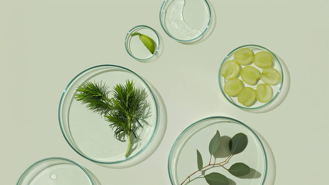 Pravda o trvanlivosti kosmetiky