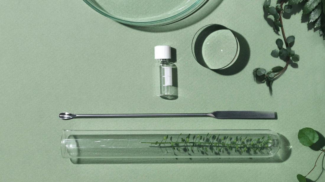 Superhrdinové péče o pleť: 8 ingrediencí, bez kterých se neobejdete