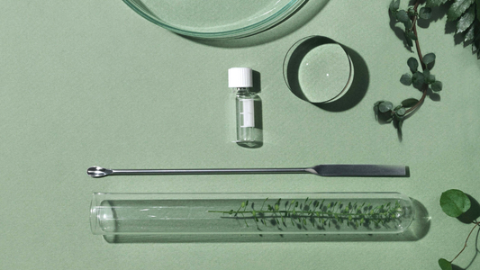 Superhrdinové péče o pleť: 8 ingrediencí, bez kterých se neobejdete